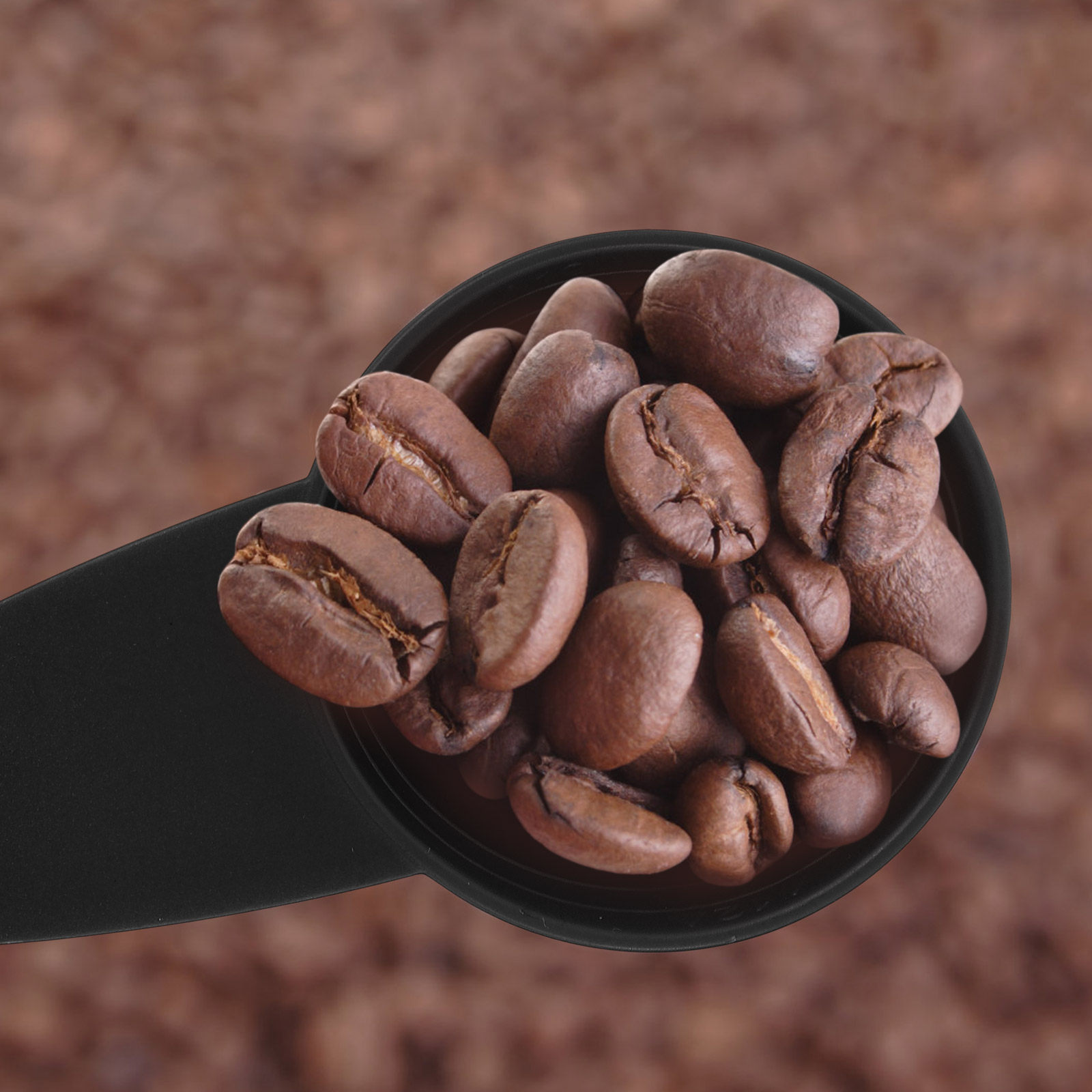 5Pcs Measure Spoon Long Handle - Coffee Tea Sugar のレビューと価格